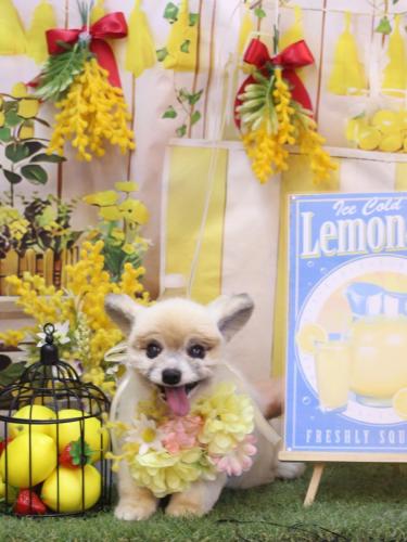 20240426エルくん